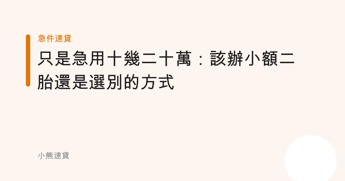 只是急用十幾二十萬：該辦小額二胎還是選別的方式